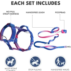 Comfort Control No-Pull Dog Harness and Multipurpose Leash Sets