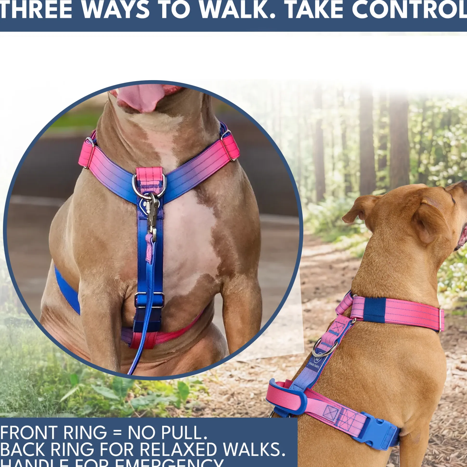 Comfort Control No-Pull Dog Harness and Multipurpose Leash Sets