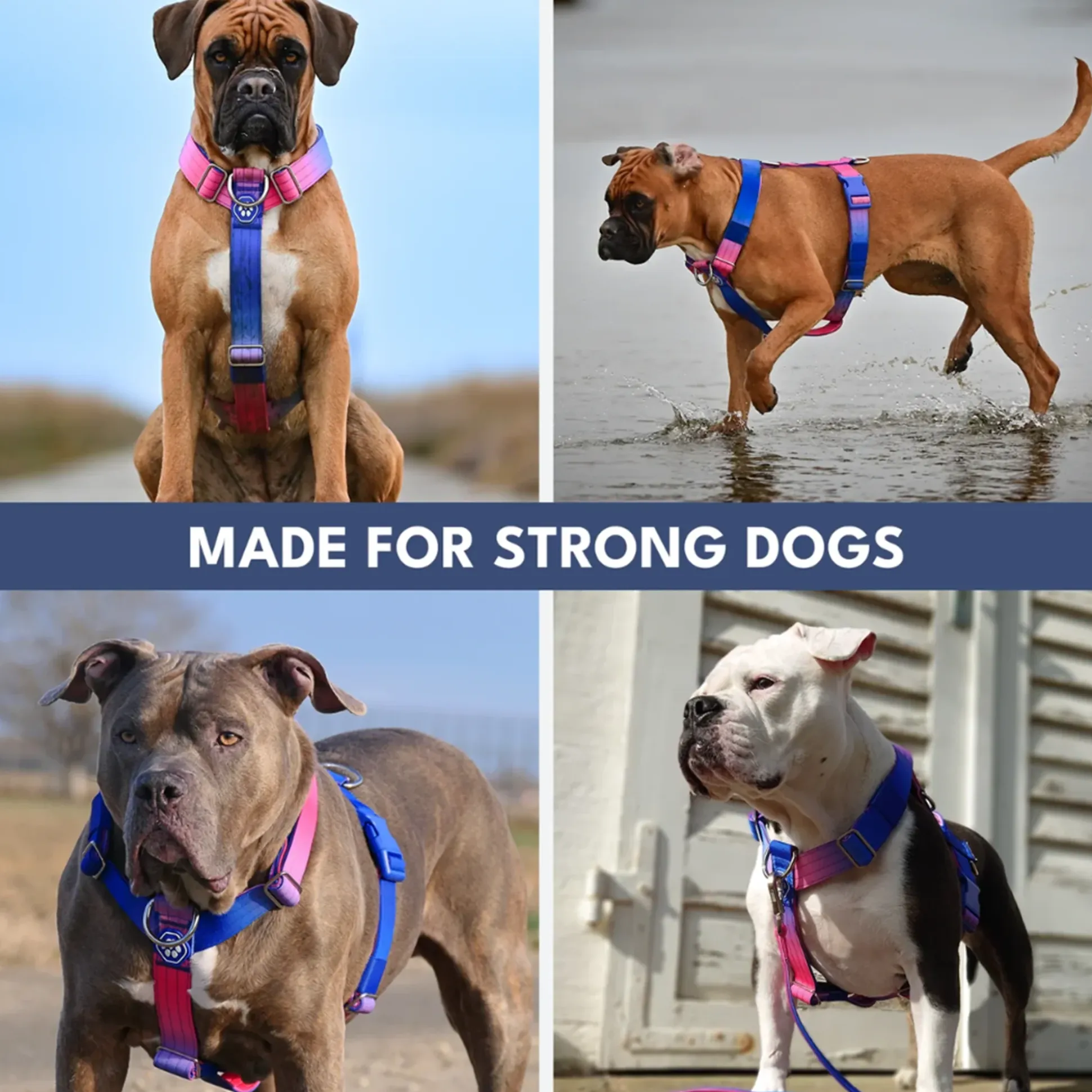 Comfort Control No-Pull Dog Harness and Multipurpose Leash Sets