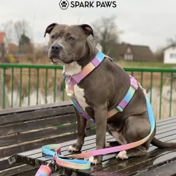Comfort Control No-Pull Dog Harnesses