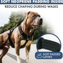 Comfort Control No-Pull Dog Harnesses