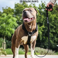 Comfort Control No-Pull Dog Harnesses