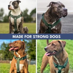 Comfort Control No-Pull Dog Harnesses