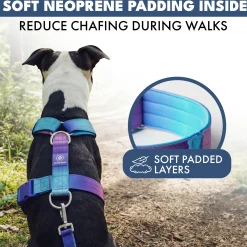 Comfort Control No-Pull Dog Harnesses