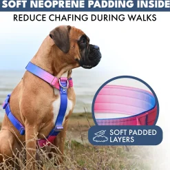 Comfort Control No-Pull Dog Harnesses