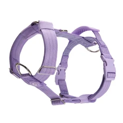Comfort Control No-Pull Dog Harnesses