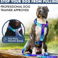 Comfort Control No-Pull Dog Harness Set - 90s Retro