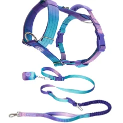 Comfort Control No-Pull Dog Harness and Multipurpose Leash Set - 90s Retro