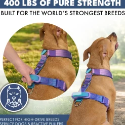 Comfort Control No-Pull Dog Harness - 90s Retro