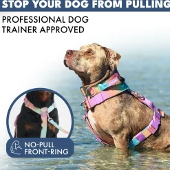 Comfort Control No-Pull Dog Harness Set - Pastel Icing