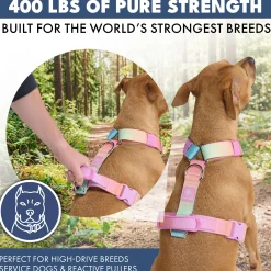 Comfort Control No-Pull Dog Harness Set - Pastel Icing