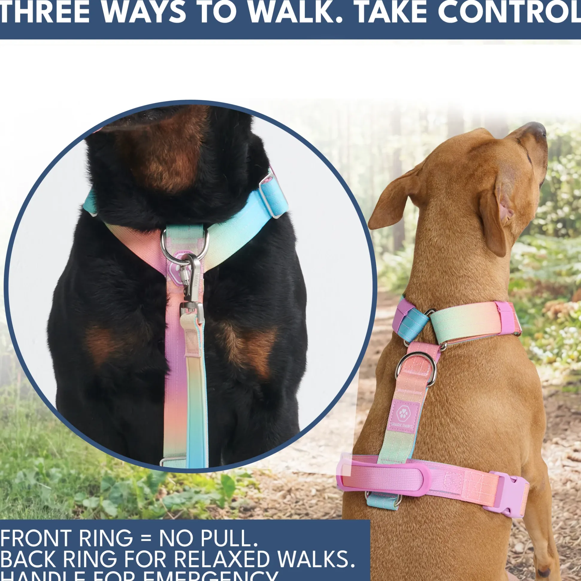 Comfort Control No-Pull Dog Harness and Multipurpose Leash Set - Pastel Icing