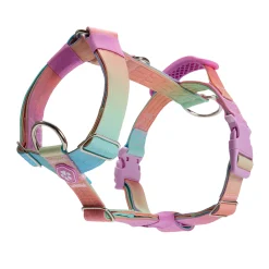 Comfort Control No-Pull Dog Harness - Pastel Icing