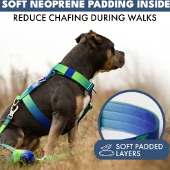 Comfort Control No-Pull Dog Harness Set - Lime Wave