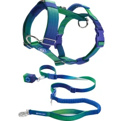 Comfort Control No-Pull Dog Harness and Multipurpose Leash Set - Lime Wave