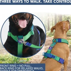 Comfort Control No-Pull Dog Harness and Multipurpose Leash Set - Lime Wave