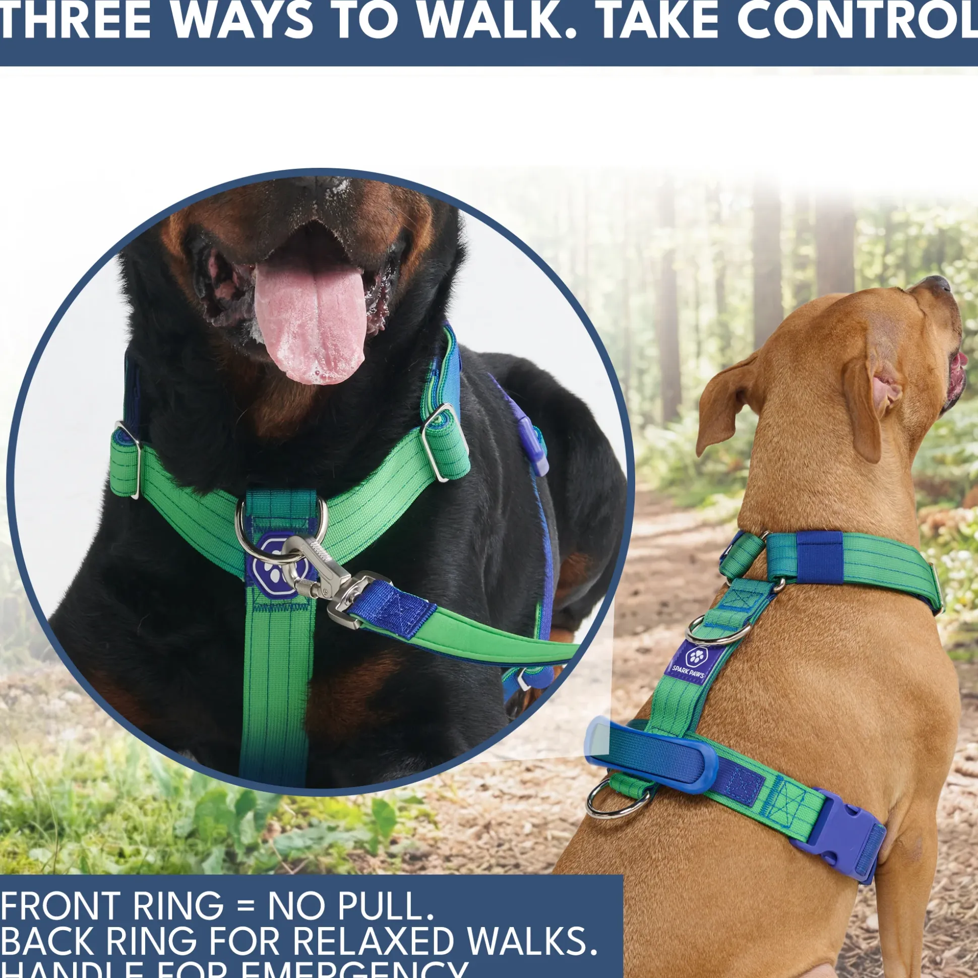 Comfort Control No-Pull Dog Harness and Multipurpose Leash Set - Lime Wave