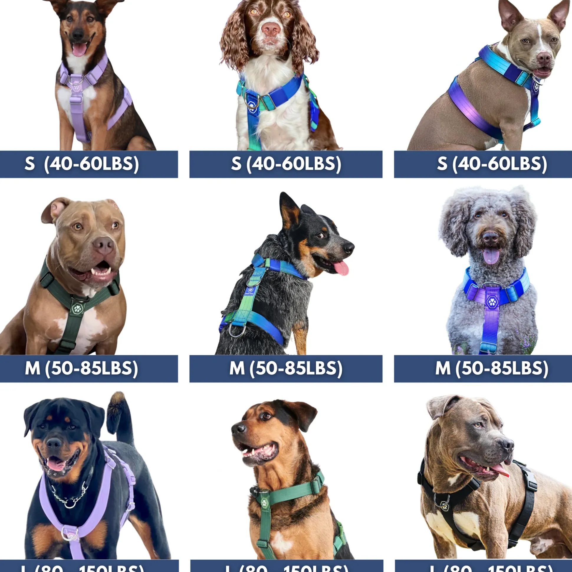 Comfort Control No-Pull Dog Harness - Lime Wave
