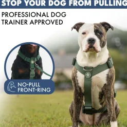 Comfort Control No-Pull Dog Harness Set - Army Green