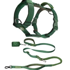Comfort Control No-Pull Dog Harness and Multipurpose Leash Set - Green