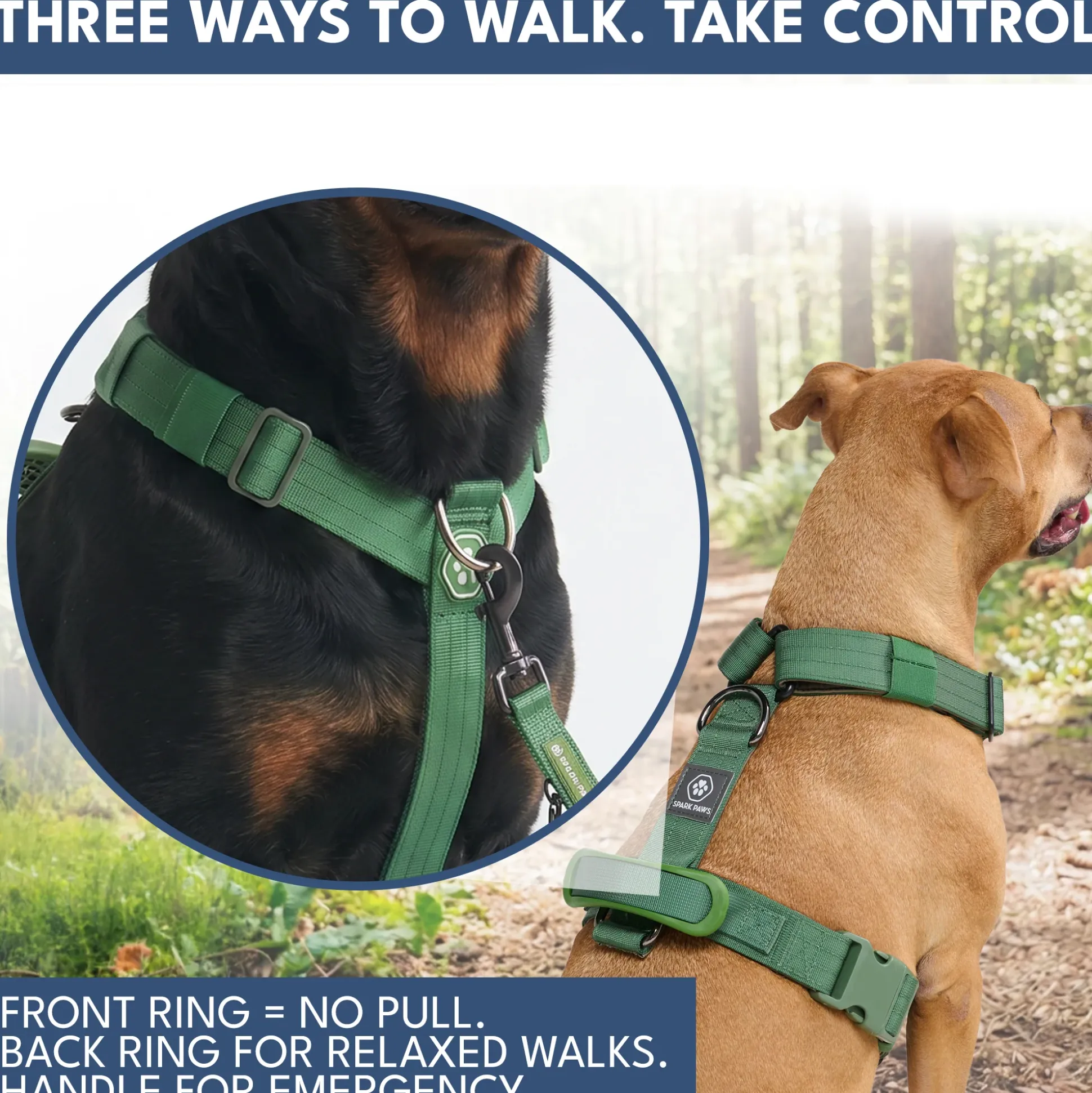 Comfort Control No-Pull Dog Harness and Multipurpose Leash Set - Green