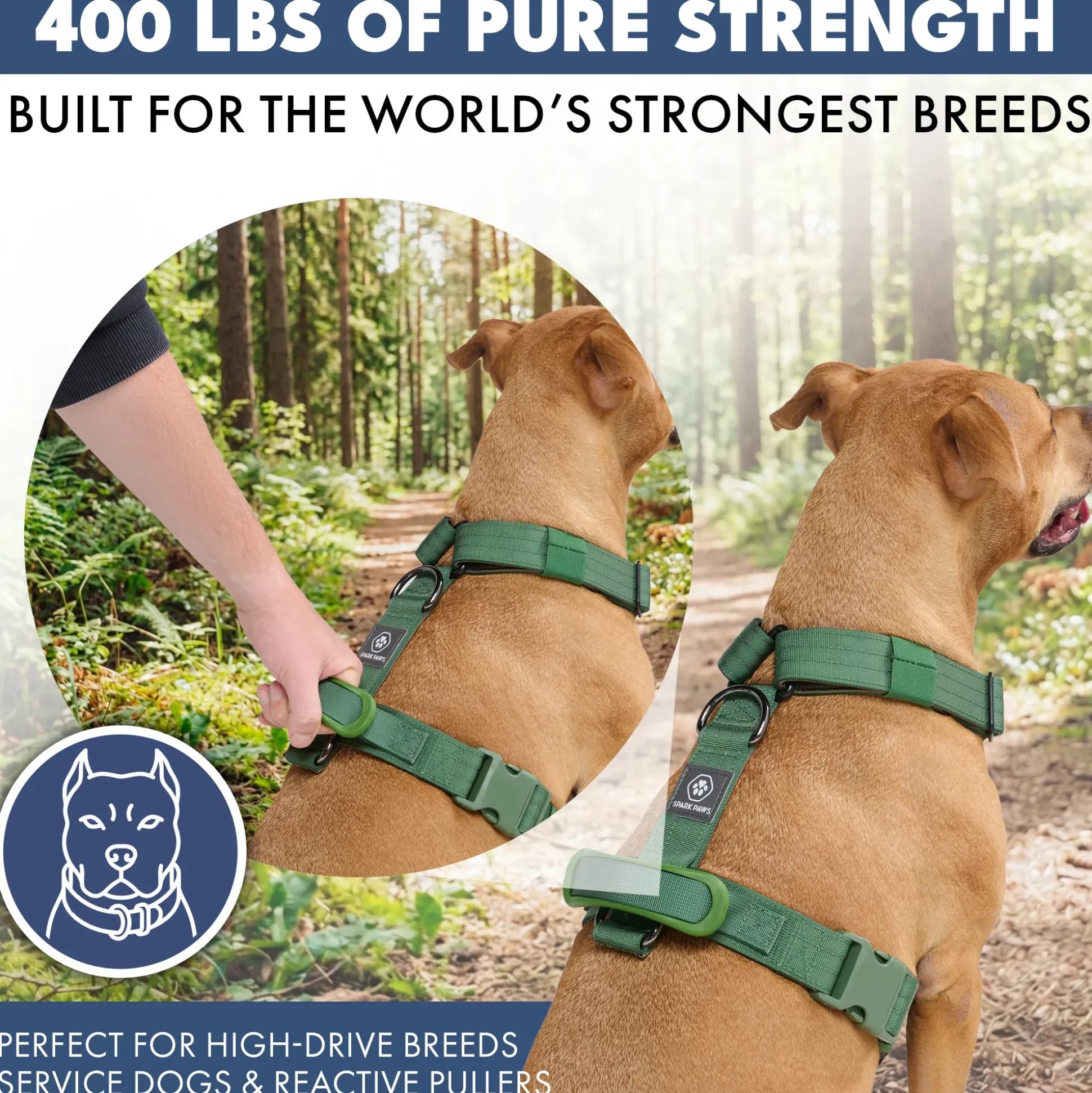 Comfort Control No-Pull Dog Harness - Green