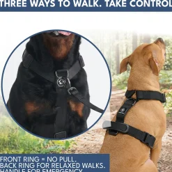 Comfort Control No-Pull Dog Harness and Multipurpose Leash Set - Black