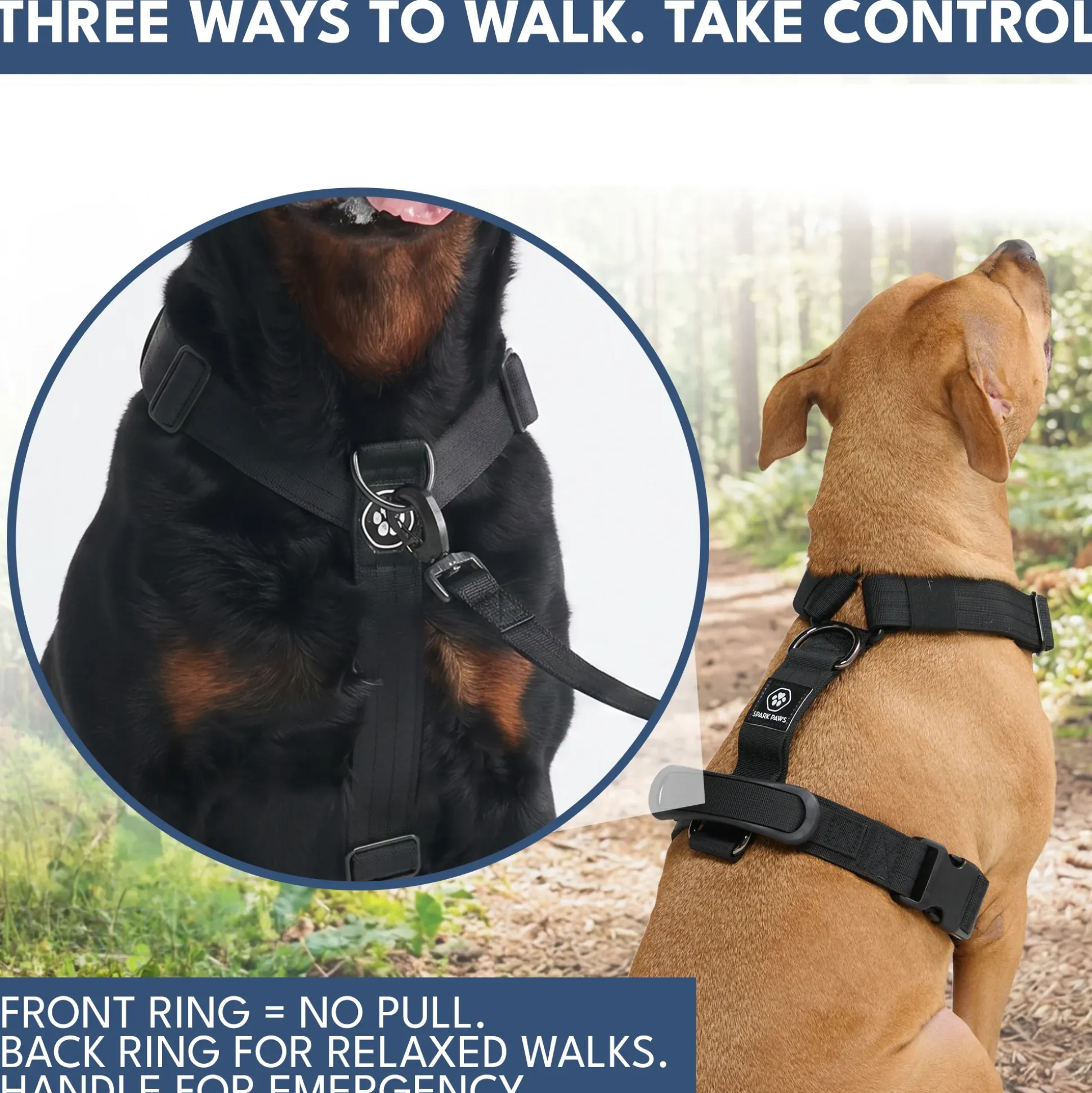 Comfort Control No-Pull Dog Harness and Multipurpose Leash Set - Black