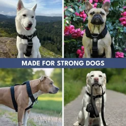 Comfort Control No-Pull Dog Harness and Multipurpose Leash Set - Black