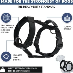 Comfort Control No-Pull Dog Harness - Black