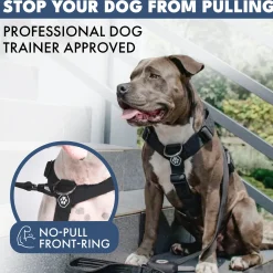 Comfort Control No-Pull Dog Harness - Black