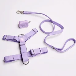 Comfort Control No-Pull Dog Harness Set - Lilac