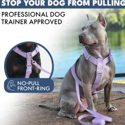 Comfort Control™ No-Pull Dog Harness - Lilac