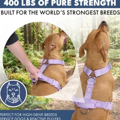 Comfort Control™ No-Pull Dog Harness - Lilac