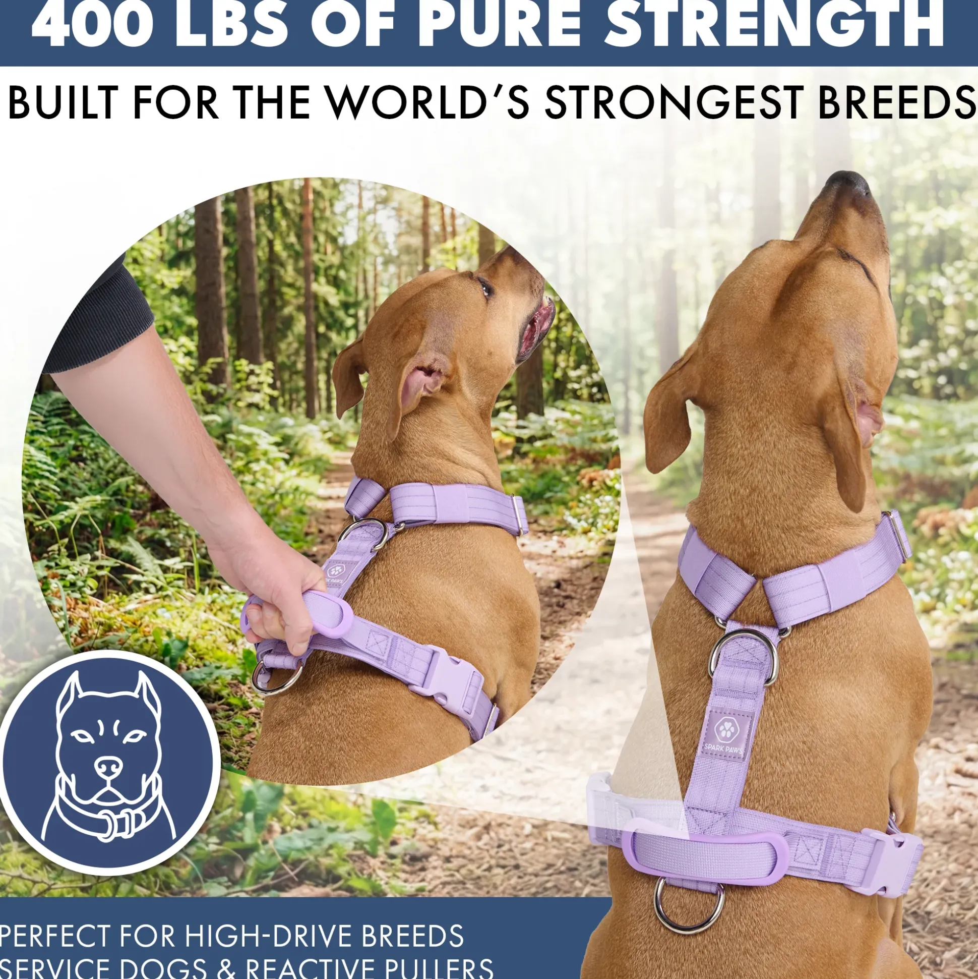 Comfort Control™ No-Pull Dog Harness - Lilac