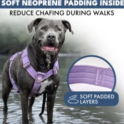 Comfort Control™ No-Pull Dog Harness - Lilac