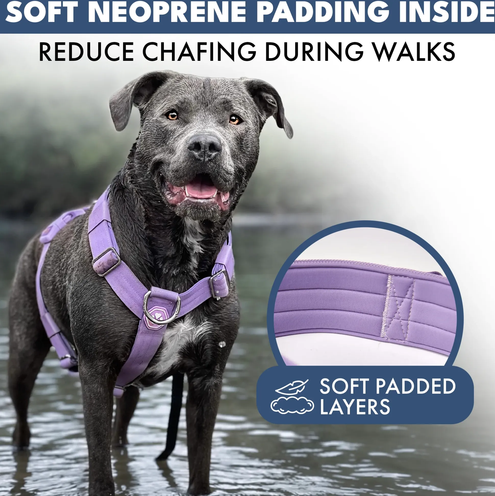 Comfort Control™ No-Pull Dog Harness - Lilac