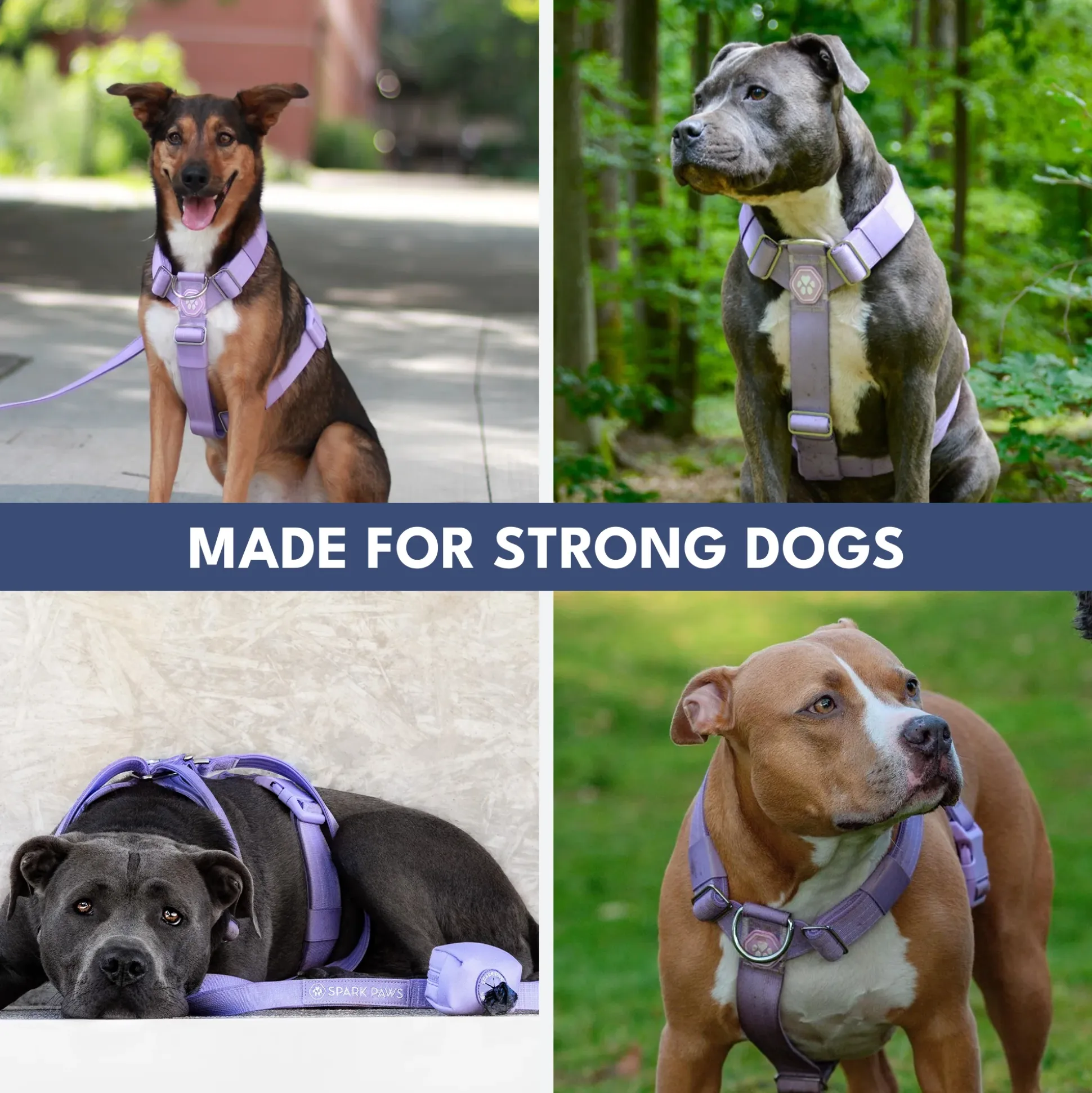 Comfort Control™ No-Pull Dog Harness - Lilac