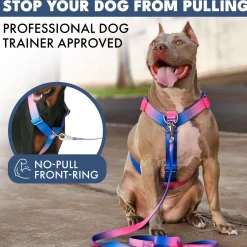 Comfort Control No-Pull Dog Harness Set - Snow Cone
