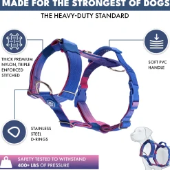Comfort Control No-Pull Dog Harness Set - Snow Cone