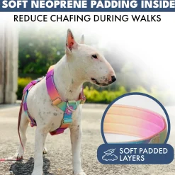 Comfort Control No-Pull Harness Sets