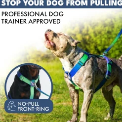Comfort Control No-Pull Harness Sets