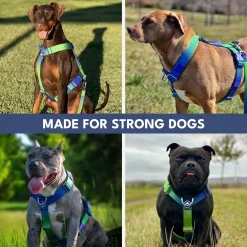 Comfort Control No-Pull Harness Sets