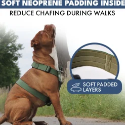 Comfort Control No-Pull Harness Sets