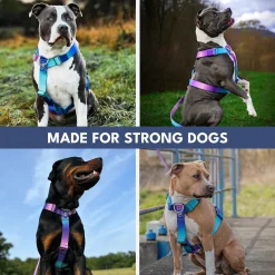 Comfort Control No-Pull Harness Sets