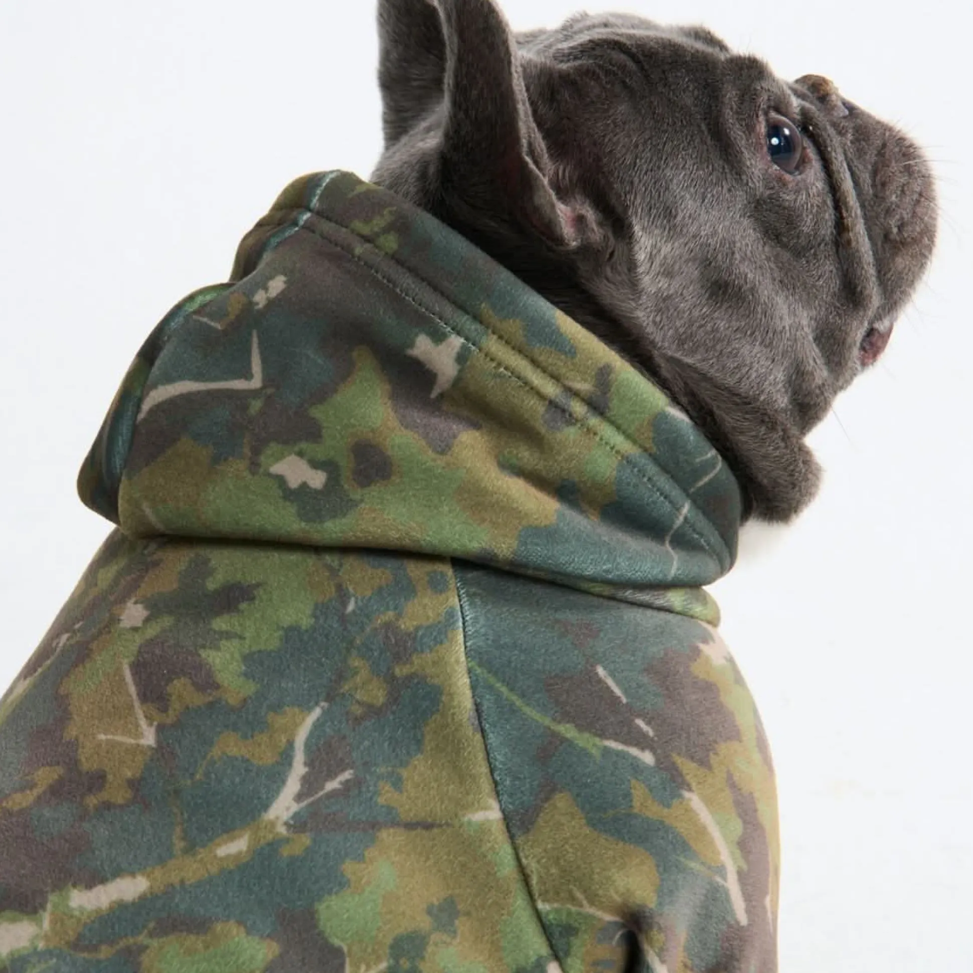 Concrete Wood Dog Hoodie - Moss
