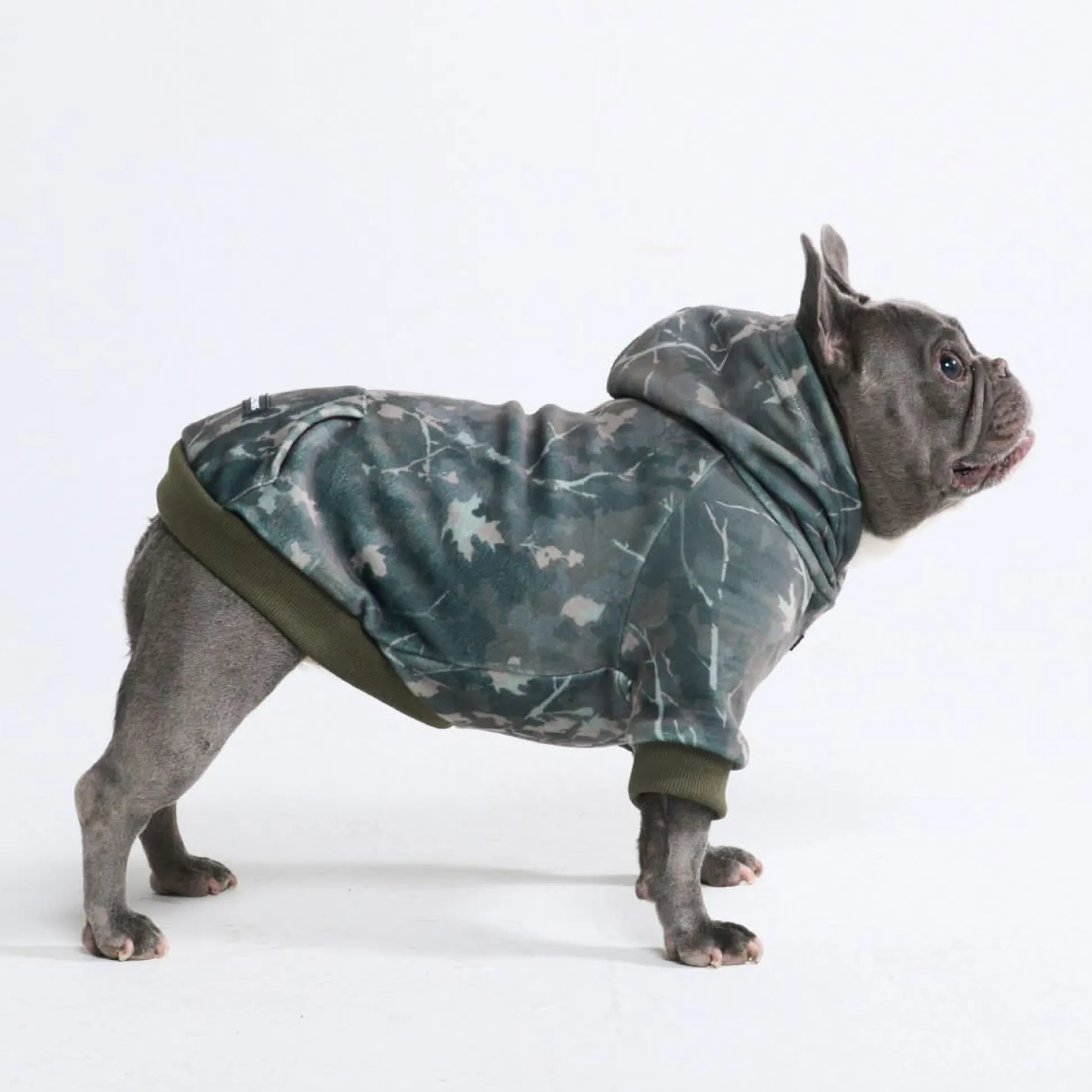 Concrete Wood Dog Hoodie - Timber