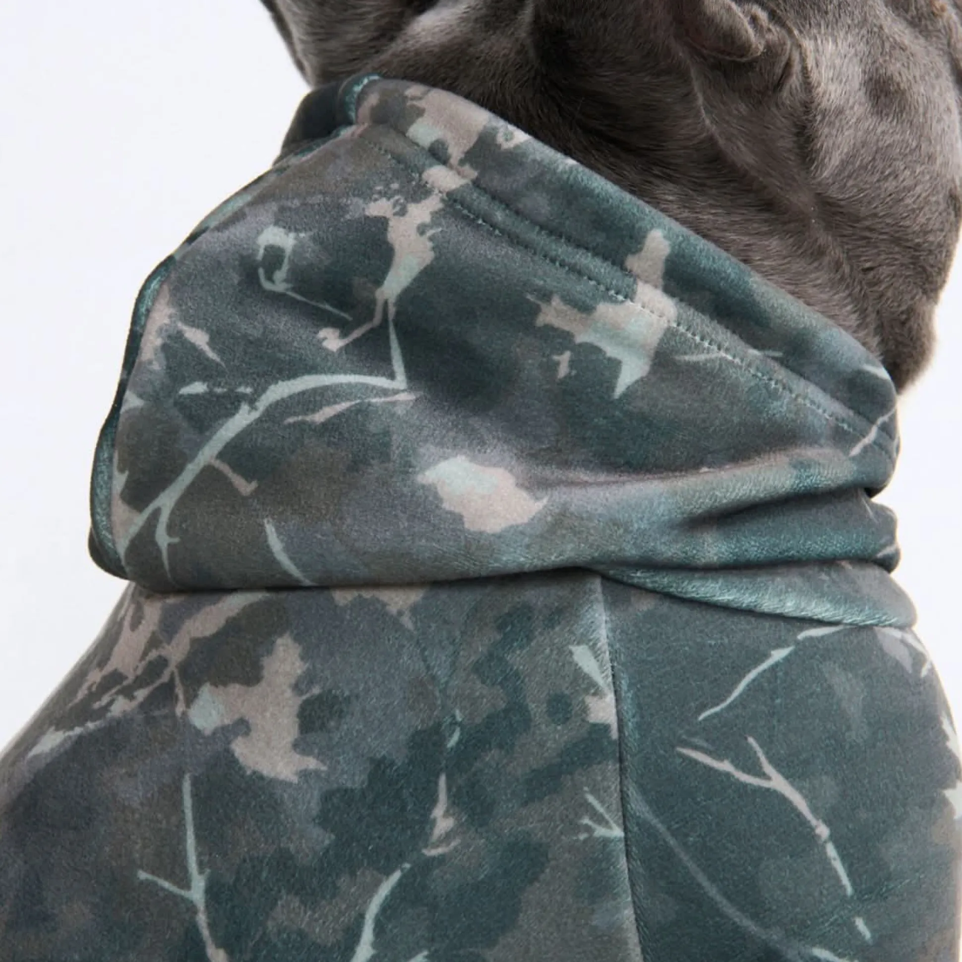 Concrete Wood Dog Hoodie - Timber
