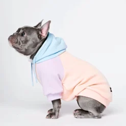 Cotton Candy Dog Hoodie