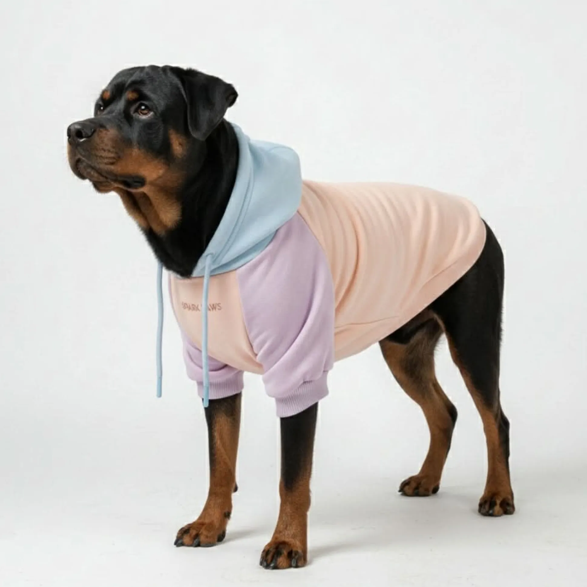 Cotton Candy Dog Hoodie